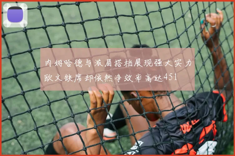 内姆哈德与浓眉搭档展现强大实力欧文缺席却依然净效率高达451