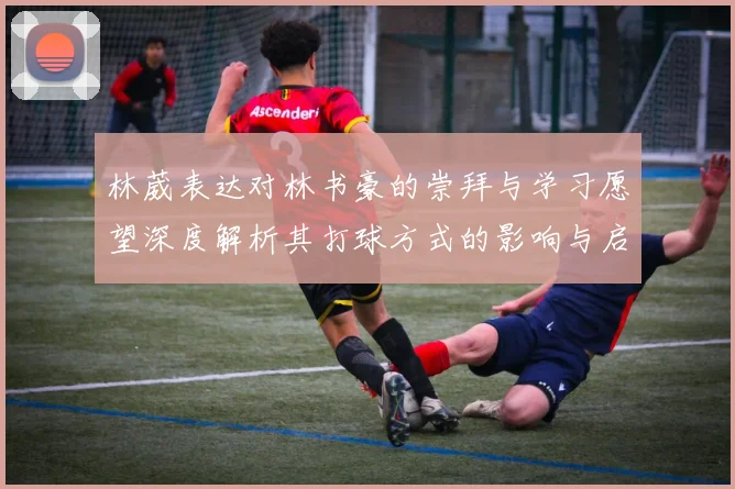 林葳表达对林书豪的崇拜与学习愿望深度解析其打球方式的影响与启发