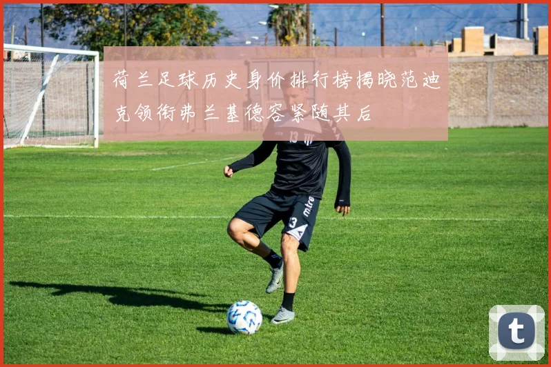 荷兰足球历史身价排行榜揭晓范迪克领衔弗兰基德容紧随其后