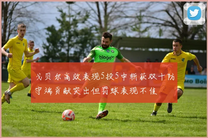 戈贝尔高效表现5投5中斩获双十防守端贡献突出但罚球表现不佳