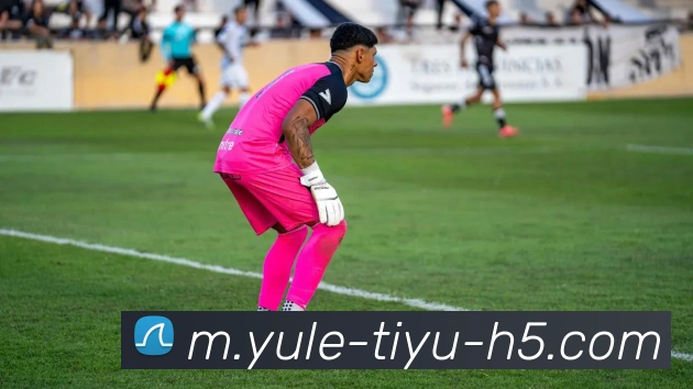 乐鱼体育平台生态图